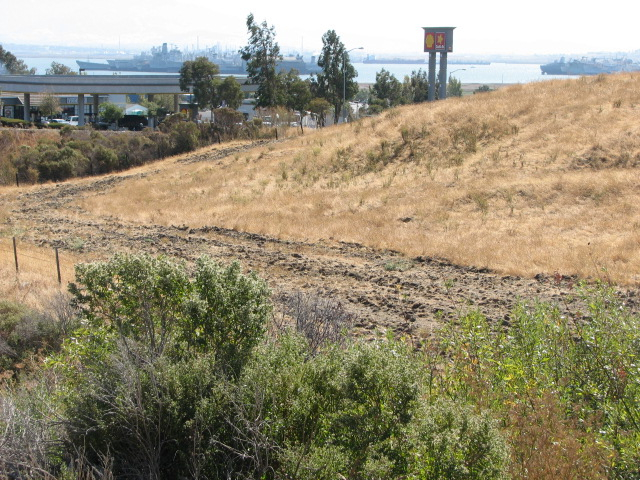 THE SEENO FAMILY owns a 528-acre parcel of land on Benicia’s north side, where a business park project was planned but shelved. File photo