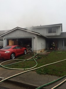 NO HUMANS were hurt in Wednesday’s fire on Carlisle Way. Courtesy Benicia Fire Department 