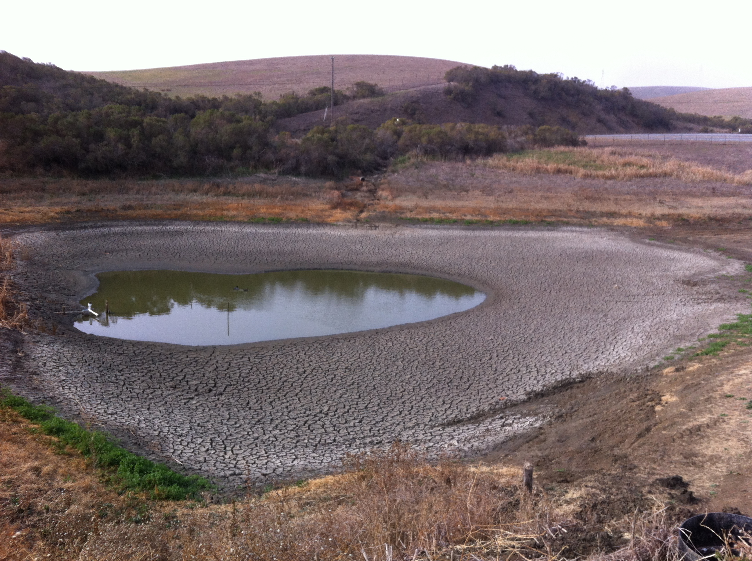 DROUGHT AND WATER are on everyone's minds these days. Donna Beth Weilenman/Staff