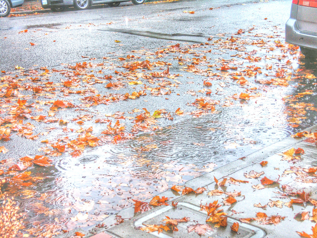 DESPITE RECENT RAINS, Benicia, like the rest of California, is facing a drought — and an uncertain water supply. Keri Luiz/Staff 