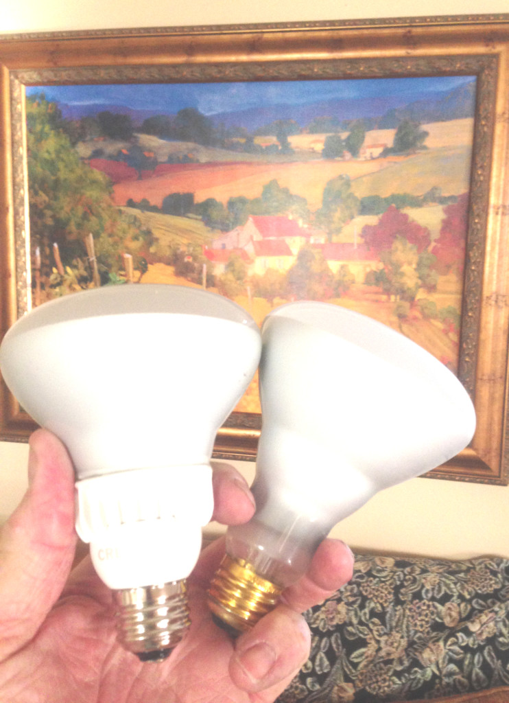 BENICIAN Ken Paulk swapped out all his old incandescent bulbs and replaced them with LED lights (above, right) — about 120 in all. He said he expects his $1,000 investment to pay for itself in 10 to 11 months. Courtesy photos 