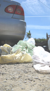 SO LONG, single-use plastic bags. This week the governor signed a bill banning them. File photo