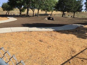 The Phenix Community Dog Park will reopen Wednesday with new features, including a hill with a tunnel to drain excess rainwater and provide dogs a place to run through. (Photo courtesy of Gretchen Burgess)