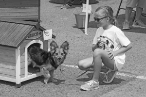A dog is adopted out at last year's "Clear the Shelters" event at Humane Society North Bay. The event, in which all shelter animals are available to adopt for $10 each, will be held again this Saturday from 11 a.m. to 5 p.m. (Courtesy of Humane Society of the North Bay)