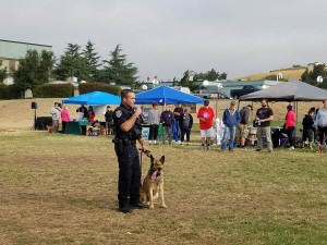Officer Jake Heinemeyer of Benicia Police Department's K-9 Unit speaks before a live demonstration with his K-9 partner Atos at Bark For Life, which was held Saturday, Aug. 20 at Benicia Middle School. (Photo by Karen baltier-Long)