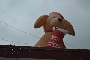 It's beginning to look a lot like Christmas on First Street. This is certainly true at Pups 'N' Purrz, where an inflatable golden retriever named Santa Paws sits atop the store's roof to welcome customers and passers-by with a little holiday spirit. With 10 days left to shop, the Herald hopes everyone is having a warm and fuzzy holiday season. (P
