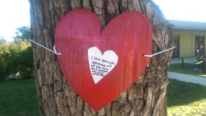 A resident has been going around town tying cardboard hearts to trees along First Street with notes about why they love Benicia. This note outside the Veterans Memorial Hall expresses support for the men and women of Benicia who have served in combat. (Photo by Pam Donohue)