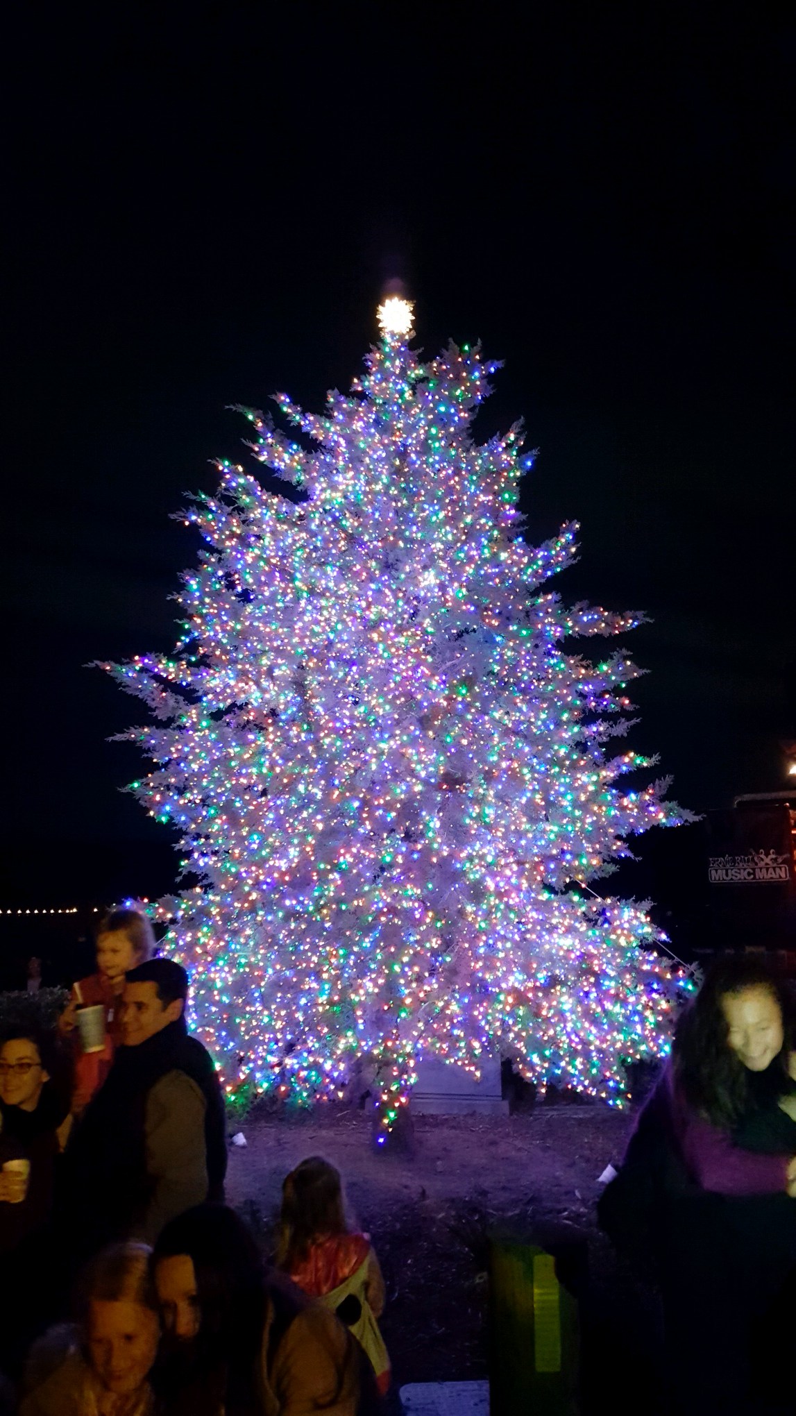 Christmas Tree White House 2021