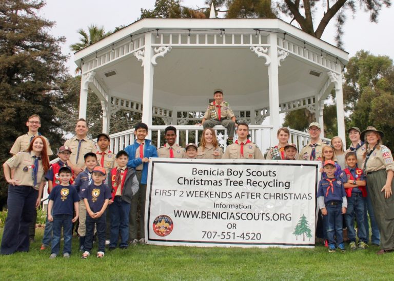 Boy Scouts to recycle used Christmas trees